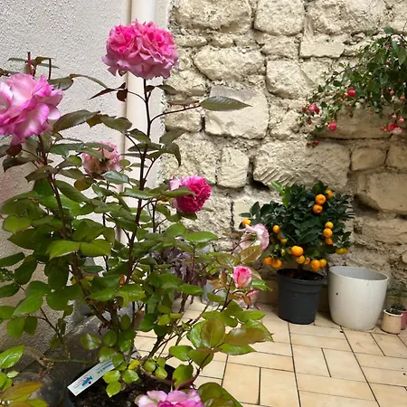 Amazzing /javel/tour Eiffel /paris