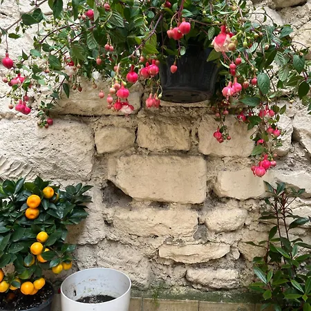 Amazzing /javel/tour Eiffel /paris Παρίσι